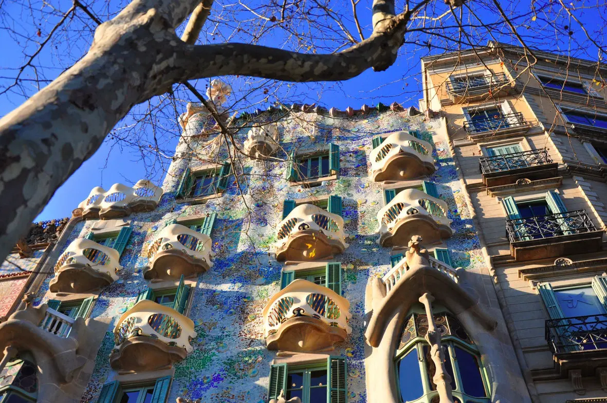 La imagen muestra la icónica fachada de la Casa Batlló, una de las obras maestras del arquitecto Antoni Gaudí ubicada en Barcelona. Destacan los elementos orgánicos y coloridos característicos del modernismo catalán, con balcones ondulados que asemejan máscaras y un revestimiento de mosaicos de colores brillantes que reflejan la luz del sol.  En el primer plano, un árbol con ramas desnudas enmarca la composición, añadiendo profundidad y contrastando con el azul intenso del cielo despejado. A la derecha, se observan edificios adyacentes con balcones más tradicionales, resaltando el carácter único y artístico de la Casa Batlló. La fotografía captura la esencia de la arquitectura creativa y visionaria de Gaudí.